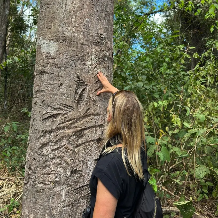 Reading tiger claw marks on a tree