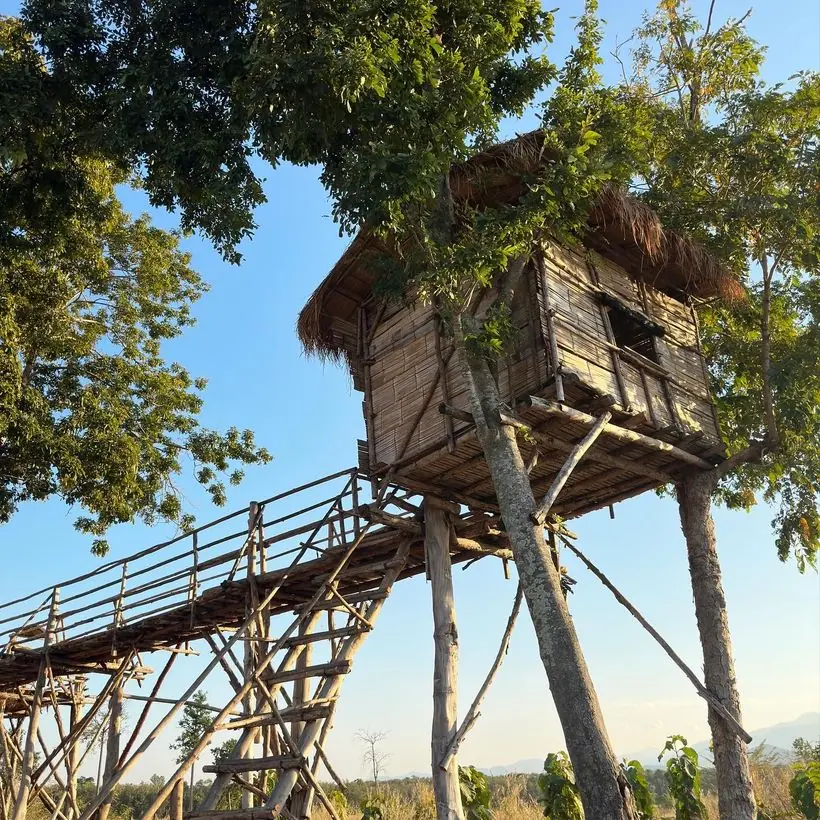 Field accommodation