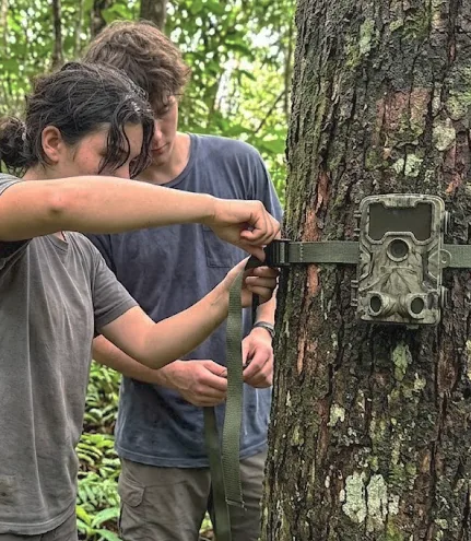 Two students strap a camera trap to a tree